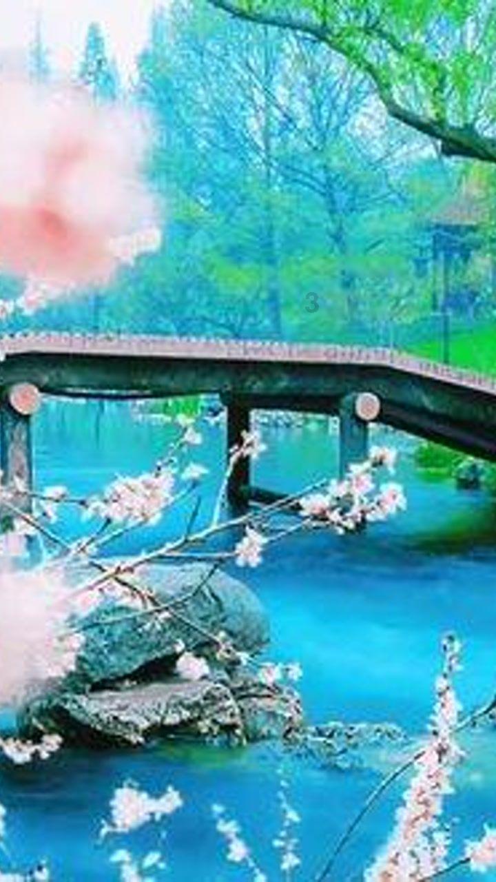 次元喵